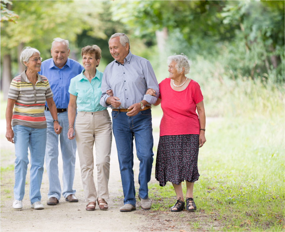 Group of seniors walking in the park.